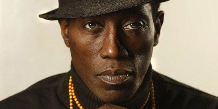 Wesley Snipes Net Worth, Wife, Height, Age, Children and Other Facts 