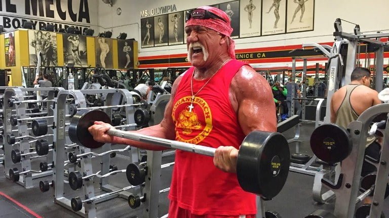 Hulk Hogan Body