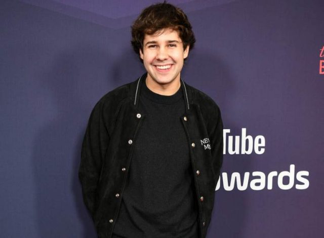 Revelations About The Crash Of David Dobrik’s YouTube Earnings, Family And Girlfriend
