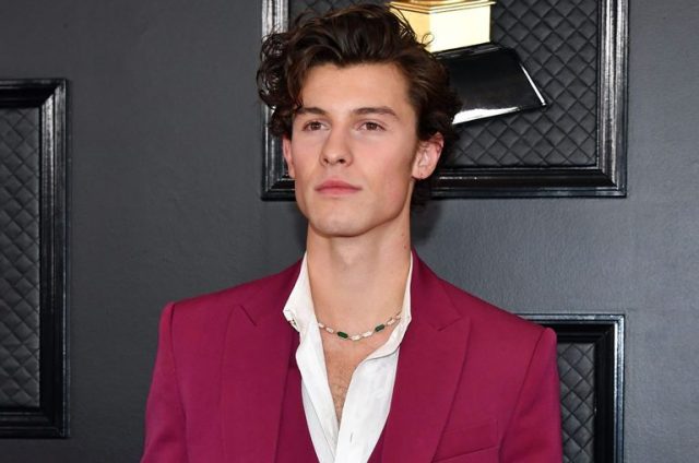 Is Shawn Mendes Gay? Girlfriend, Height, Net Worth, Sister, Parents, Facts