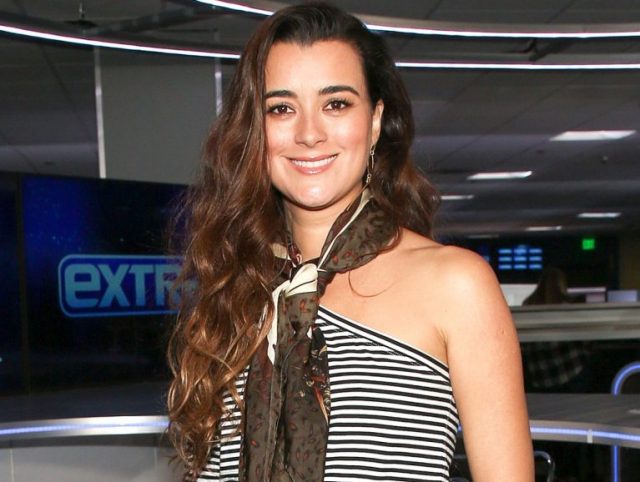 Is Cote De Pablo Married, What is She Doing Now? Her Net Worth, Husband