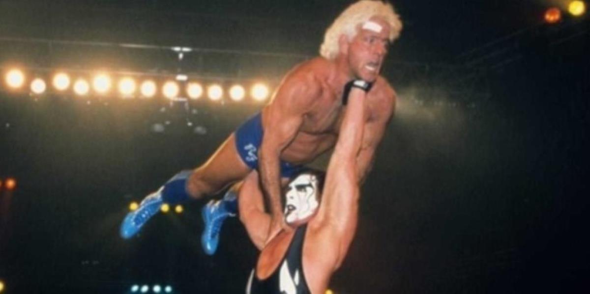 Ric Flair Rise and Fall of Wrestlings Evolution