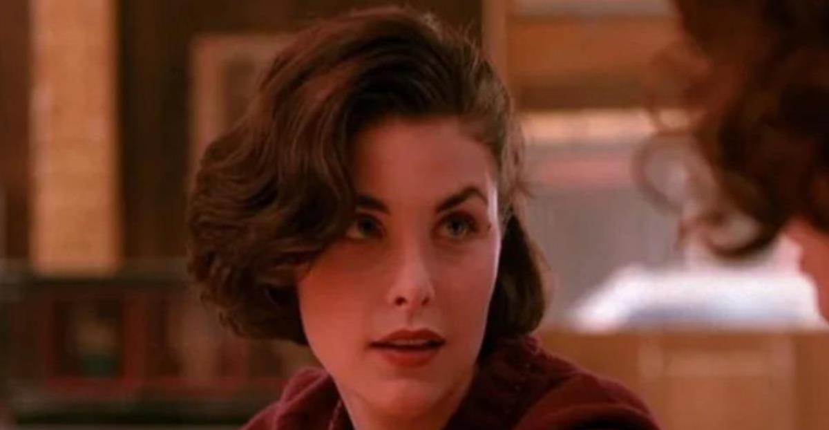 Sherilyn Fenn Biography, Career, Net Worth, And Other Interesting Facts