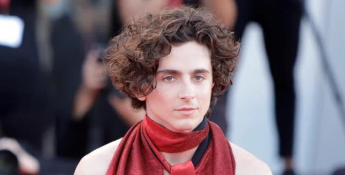 Timothée Chalamet Net Worth 2024 How Much Is The 'Dune' Star Worth