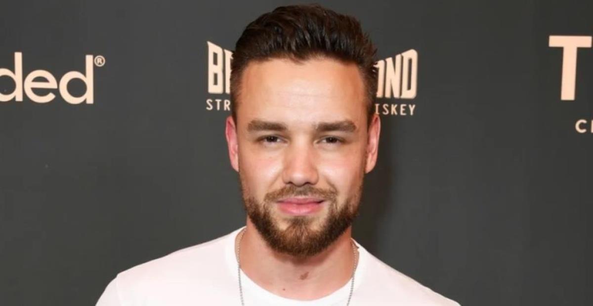 Liam Payne Biography, Career, Net Worth, And Other Interesting Facts ...