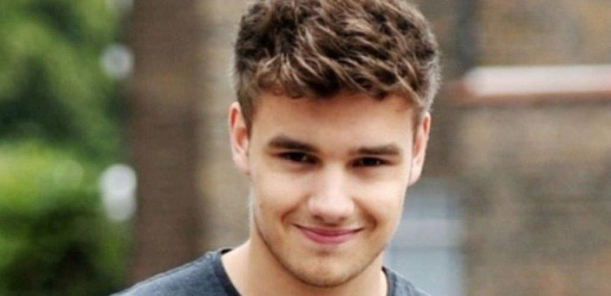 Liam Payne Biography, Career, Net Worth, And Other Interesting Facts ...