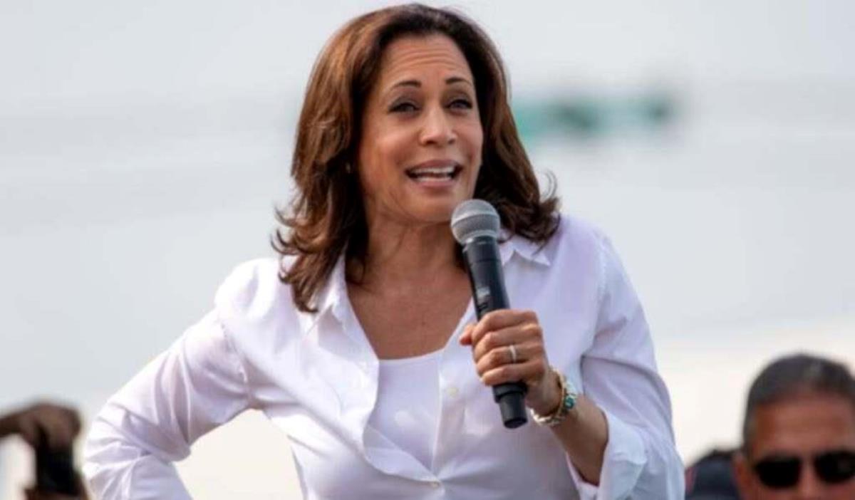 Kamala Harris Net Worth Secrets of Her Success Celebily